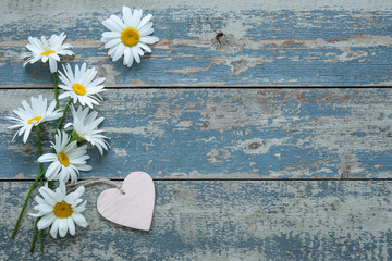 Obraz premium Daisy flowers on wooden background