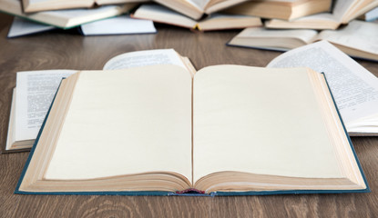 Fototapeta premium books