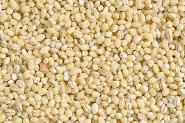 Wheat seed background