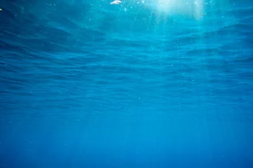 Zelfklevend Fotobehang  underwater © Pakhnyushchyy