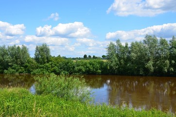 Flusslandschaft in grüner Natur mit blauem Wolkenhimmel im Sommer