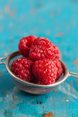 fresh growing raspberries