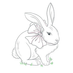 Freehand illustration rabbit with a bow.