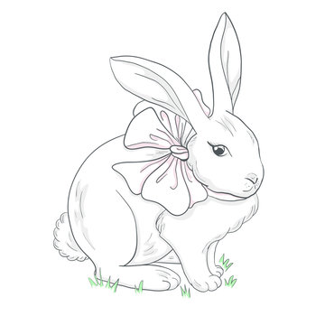 Freehand illustration rabbit with a bow.