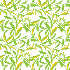 Seamless pattern. Tea Leaves, flowers, mango.