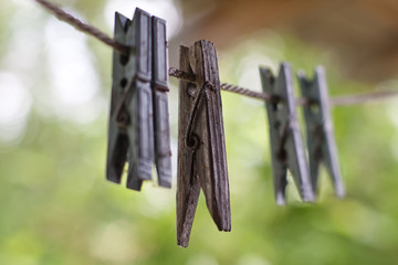 Wooden clothespins attached to the rope on green background