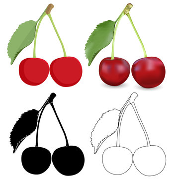 Cherry. From hand drawing to 3d illustration