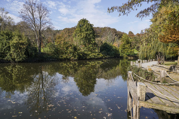 reflection of trees on lake in autumn