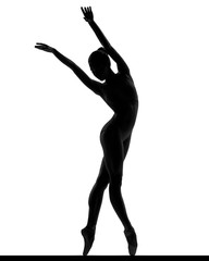 silhouette of a posing balerina © Alexander Y