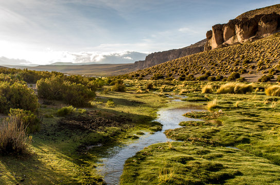 River and altiplano at sunset, Colchane, Tarapaca, Chile