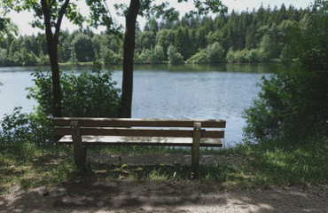 Fototapeta premium beautiful nature wooden bench at a wonderful day at sea