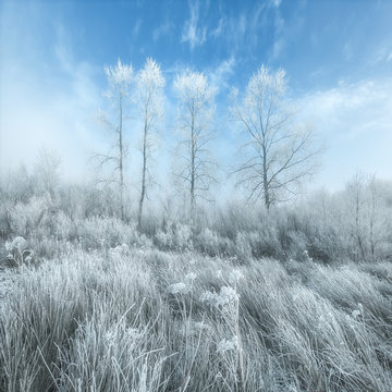 Frost covered landscape, Cavan, Ireland