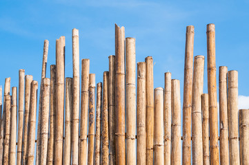 beautiful Bamboo Fence with blue sky