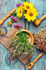 Set of medicinal herbs