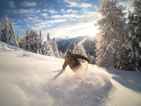 Man powder skiing, Alps, Zauchensee, Austria