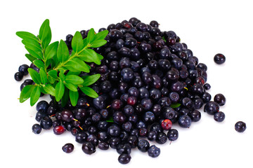 Fresh Juicy Blueberries
