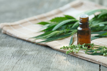 cannabis essential oil with cannabis cannabis leaves 