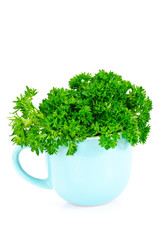 Parsley on White Background