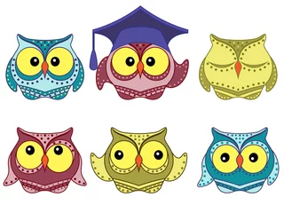 Fotobehang Six amusing colorful owls © natareal