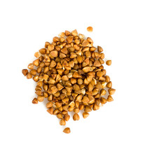 buckwheat isolated on white