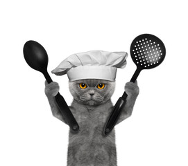 Fototapeta premium Cat chef is going to prepare meals