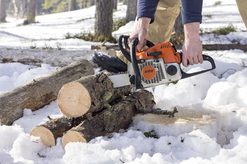 Chainsaw man sawing wood in the forest in winter