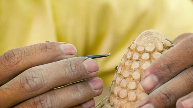 Video 1920x1080 - Wood master is working on the details of the statue. Cambodia