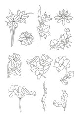 flowers, stained glass elements