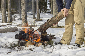 People in the forest casts a log in a campfire