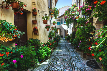 Fototapeta na wymiar Spello and its nooks and streets of the beautiful Italian towns