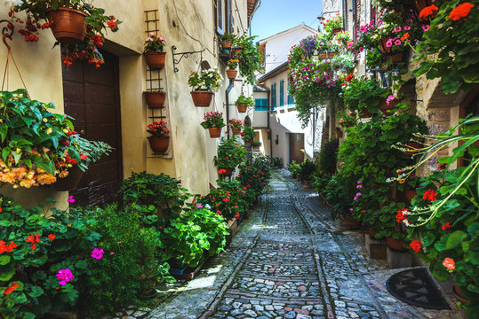 Fototapeta Spello and its nooks and streets of the beautiful Italian towns
