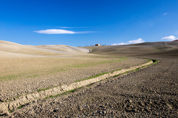 Tuscany field with Earth Furrow in curved lines and Farmhouse