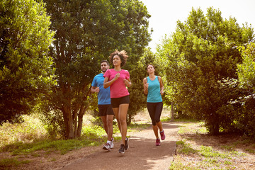 Three joggers on a running trail