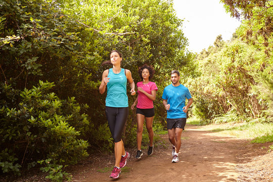 Three Joggers Running A Fun Trail