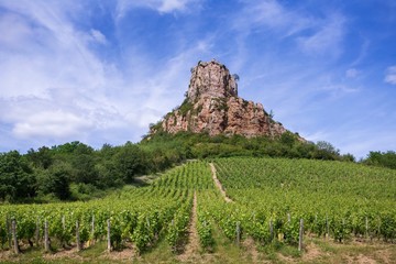 Fototapeta na wymiar Les vignobles en bas d'une montagne érodée