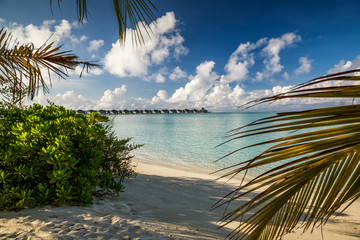 Beautiful Maldives