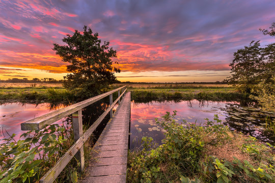 Wooden bridge sunset
