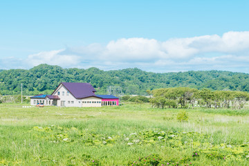 北海道の風景