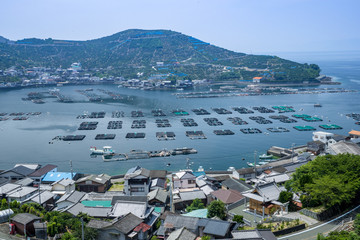 養殖筏と海（愛媛県八幡浜川上）