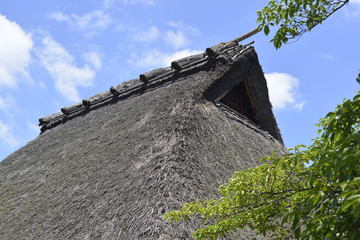 藁葺きの屋根
