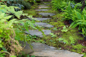 side walk in garden