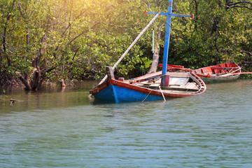 Wreck fishing boat floating in the water in the mangrove forest at Thailand