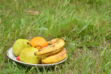 Тарелка с фруктами на траве. Белая тарелка с фруктами стоит на траве. В тарелке бананы, апельсин, груши, яблоко, клубника. Тарелка в нижнем левом углу фото.
