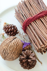 Pinecones and dried Plants, home decoration