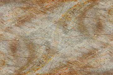 The surface of the wood used to build furniture.