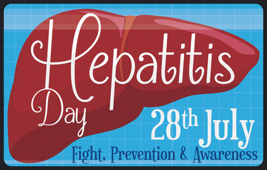 Medical Banner of Healthy Liver Scanning for World Hepatitis Day, Vector Illustration