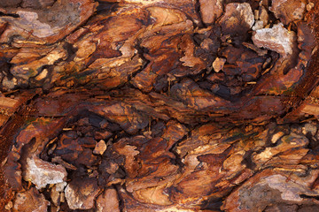 The surface of the wood used to build furniture.