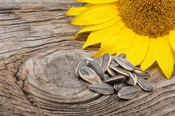 Sunflower and seeds on wooden background