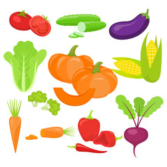Set of fresh vegetables, isolated on white background. Vector.