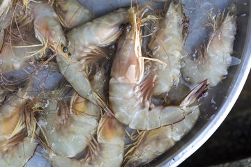 Fresh shrimp